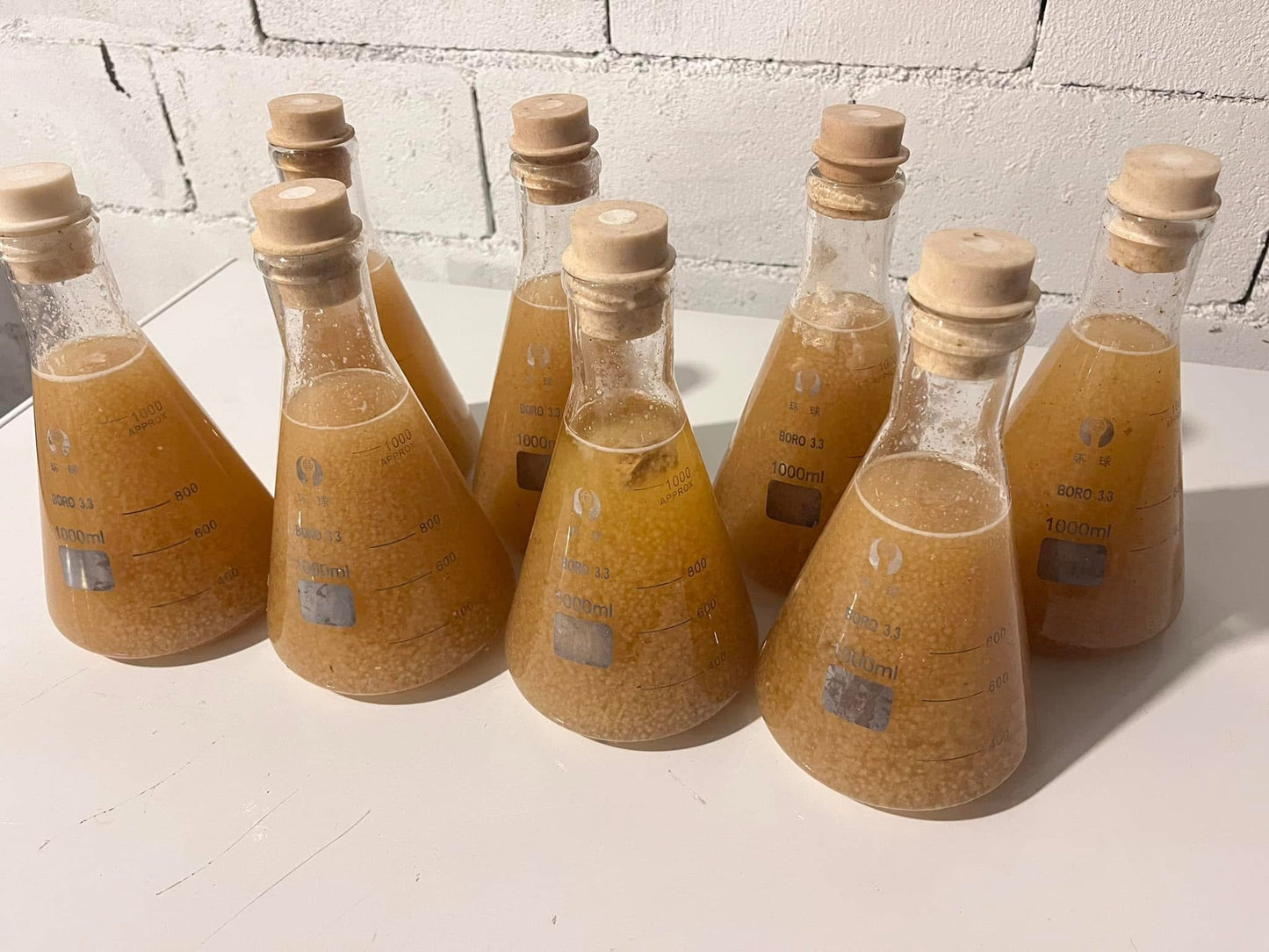 Set of 4 Borosilicate Erlenmeyer Flasks with Silicone Stoppers – 250 ml or 1000 ml Capacity, Ideal for Liquid Mushroom Cultures