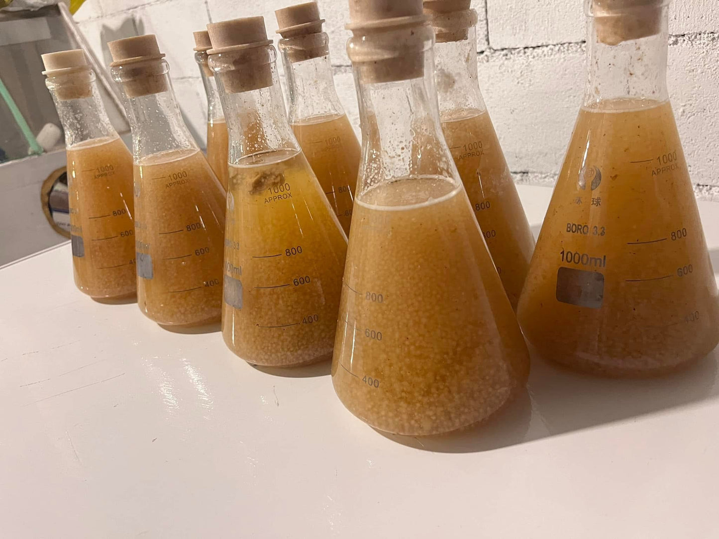 10ml Sterile Mushroom Liquid Culture Syringe with Needle and Alcohol Wipe — Ultra-Rich Nutrient Medium, High Viability Mycelium, Ready for Fast Inoculation