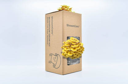 ShroomCore ™ California-Made YellOw Oyster Mushroom Grow Bag — All-Natural Ha