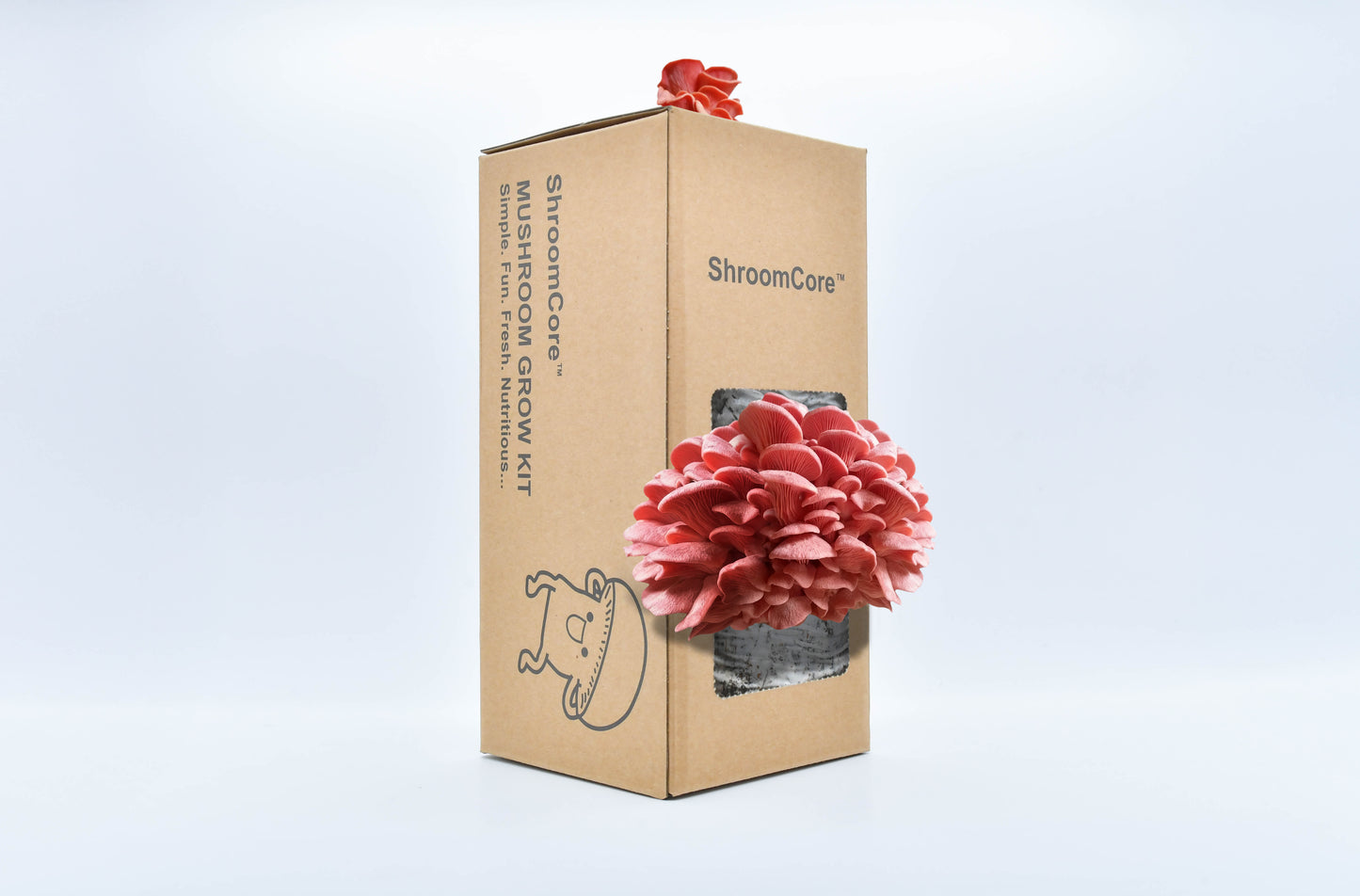 ShroomCore ™ California-Made Pink Oyster Mushroom Grow Bag — All-Natural Ha