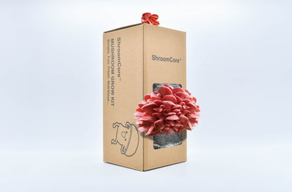 ShroomCore ™ California-Made Pink Oyster Mushroom Grow Bag — All-Natural Ha