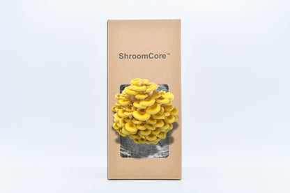 ShroomCore ™ California-Made YellOw Oyster Mushroom Grow Bag — All-Natural Ha