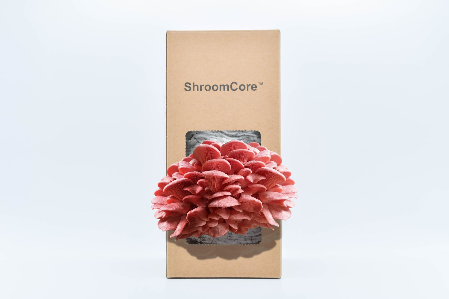 ShroomCore ™ California-Made Pink Oyster Mushroom Grow Bag — All-Natural Ha