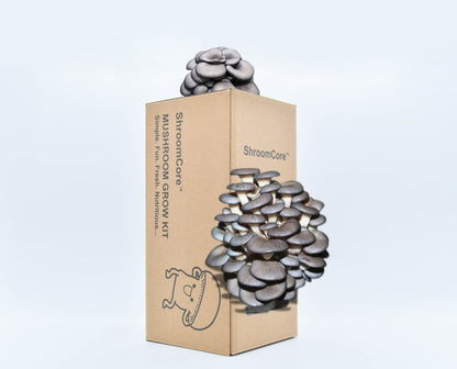 ShroomCore ™ California-Made Blue Oyster Mushroom Grow Bag — All-Natural Ha