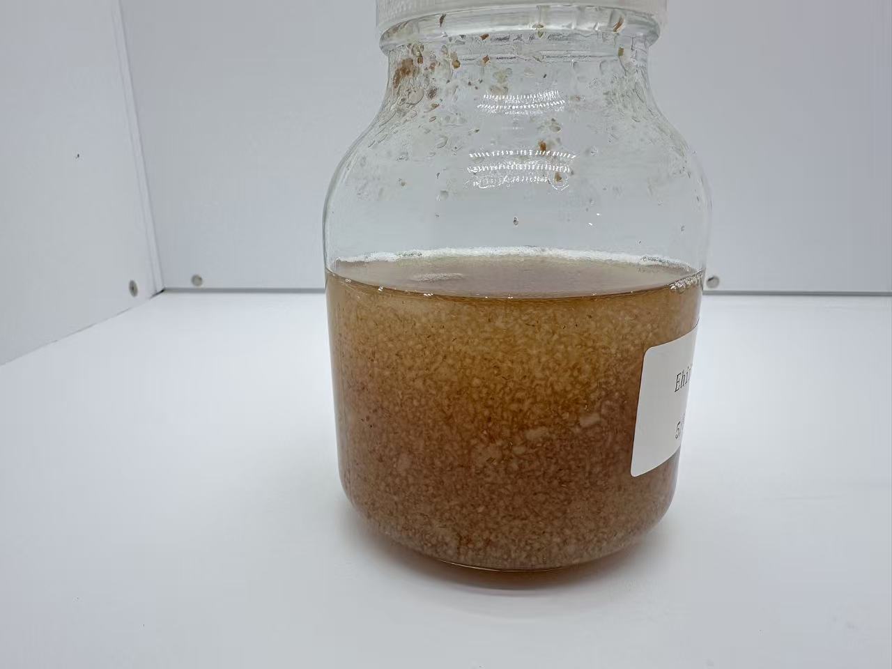 650ml Borosilicate Glass Culture Bottles with Vent Lids (Set of 4) — High-Temp 275°F PP Caps with 0.2 µm Filter Membrane for Plant Tissue Culture and Mushroom Cultivation