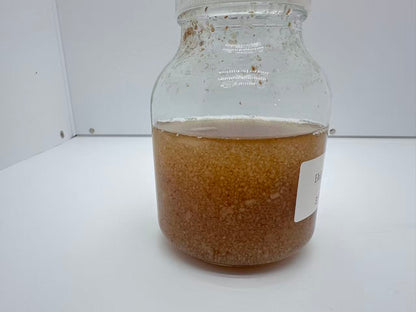 650ml Borosilicate Glass Culture Bottles with Vent Lids (Set of 4) — High-Temp 275°F PP Caps with 0.2 µm Filter Membrane for Plant Tissue Culture and Mushroom Cultivation