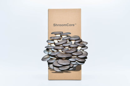 ShroomCore ™ California-Made Blue Oyster Mushroom Grow Bag — All-Natural Ha