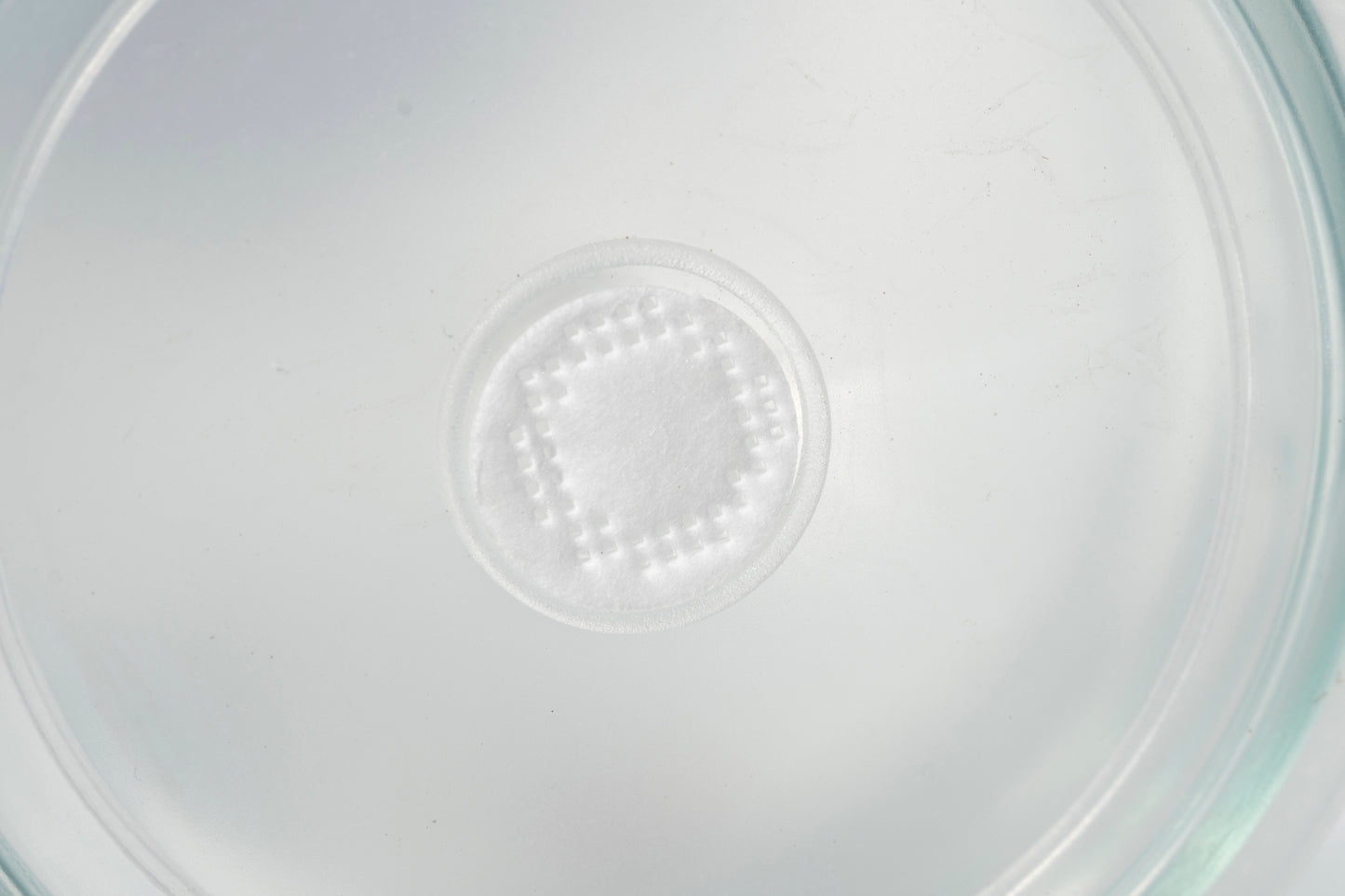 650ml Borosilicate Glass Culture Bottles with Vent Lids (Set of 4) — High-Temp 275°F PP Caps with 0.2 µm Filter Membrane for Plant Tissue Culture and Mushroom Cultivation