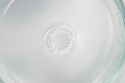 650ml Borosilicate Glass Culture Bottles with Vent Lids (Set of 4) — High-Temp 275°F PP Caps with 0.2 µm Filter Membrane for Plant Tissue Culture and Mushroom Cultivation