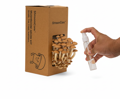 ShroomCore ™ California-Made Pioppino Mushroom Grow Bag — All-Natural Ha